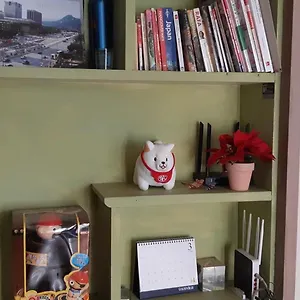  ホステル バーズネスト ホンデ 韓国