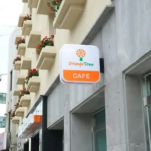 Orange Tree Korea Południowa