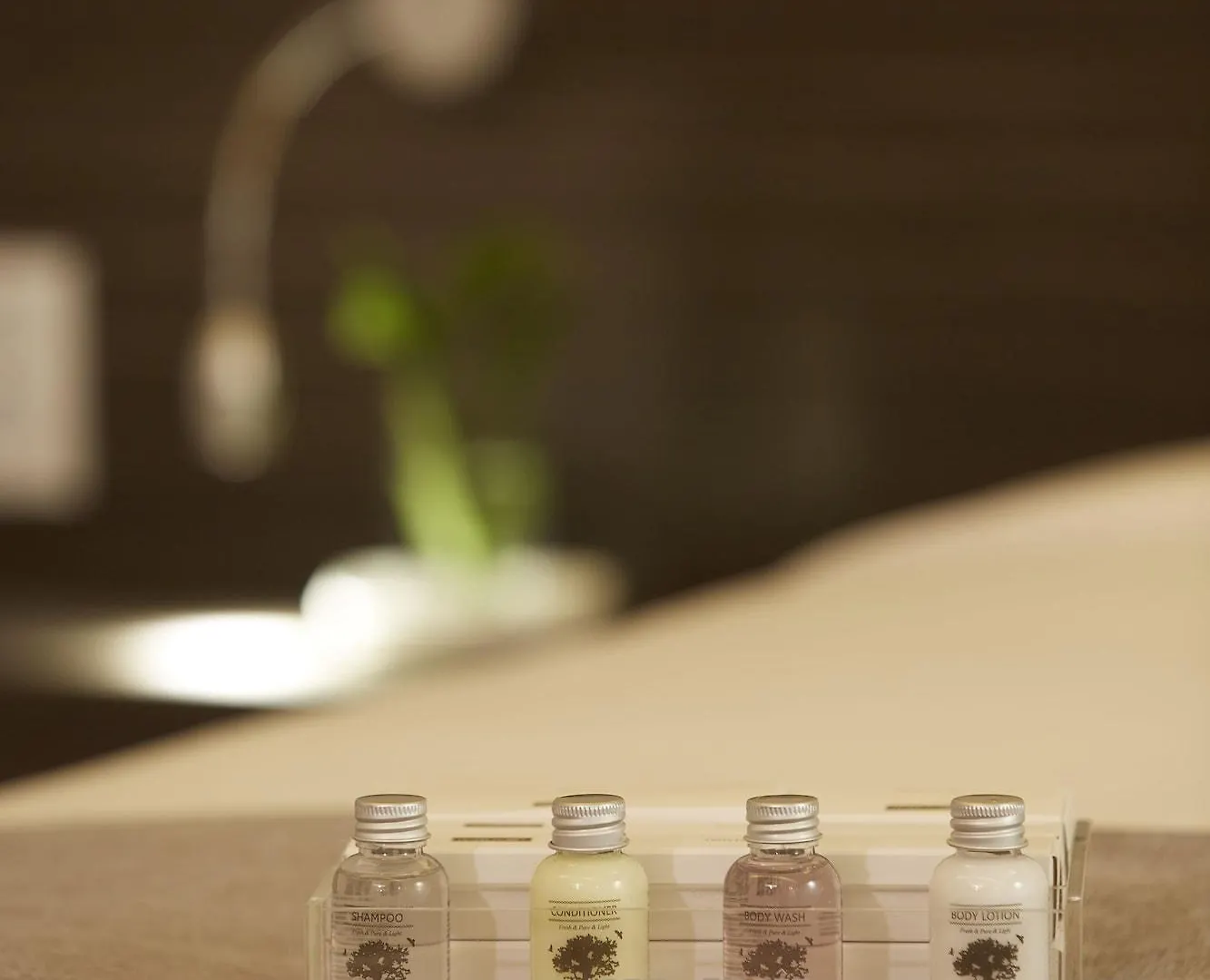 Hotel Foret The Spa Busan Corée du Sud